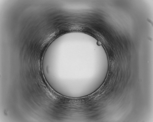 X0000094220729200710260953
