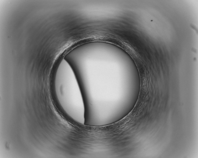 X0000094220730200710260953