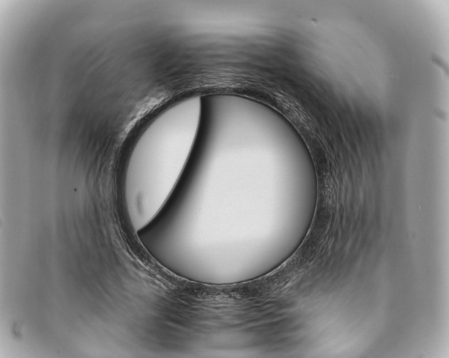 X0000094220731200710260953