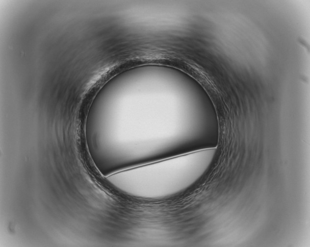 X0000094220732200710260953