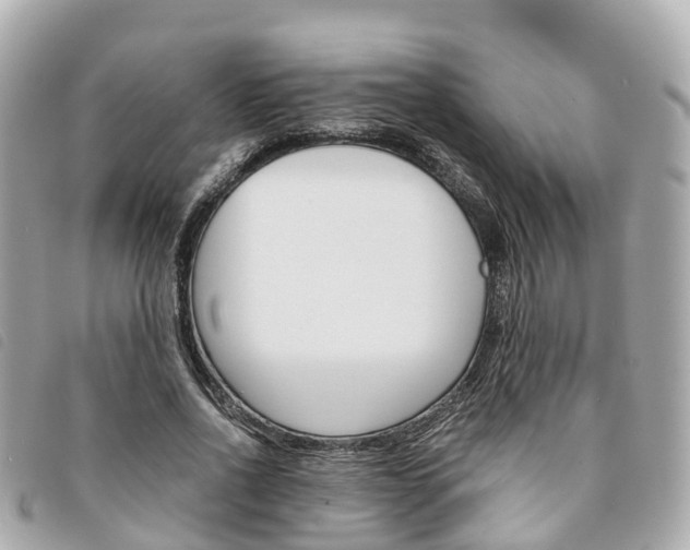 X0000094220734200710260953
