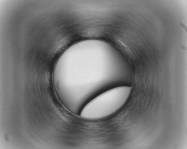 X0000094220735200710260953