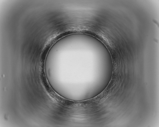X0000094220736200710260953