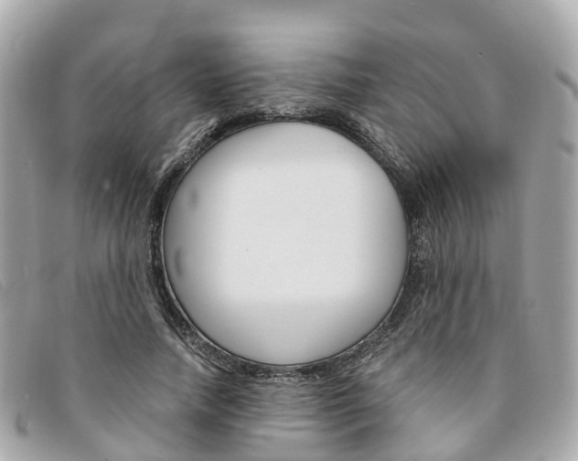 X0000094220738200710260953