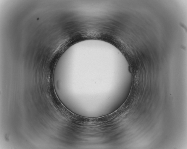 X0000094220739200710260953