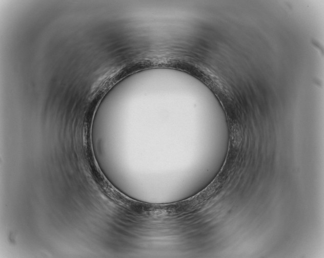 X0000094220740200710260953