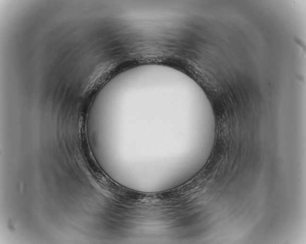 X0000094220742200710260953