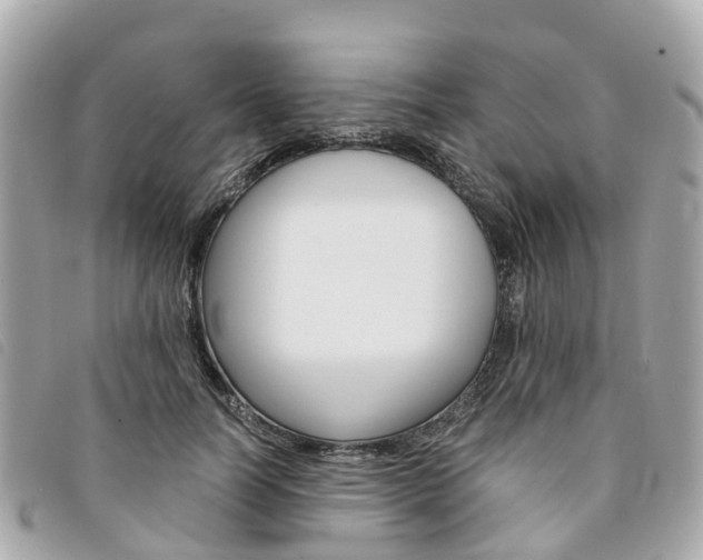 X0000094220746200710260953