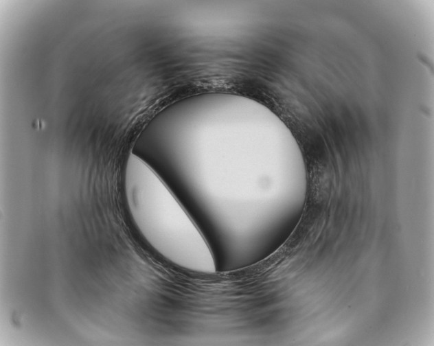 X0000094220747200710260953