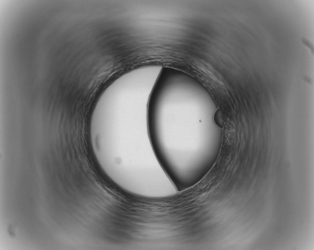 X0000094220748200710260953