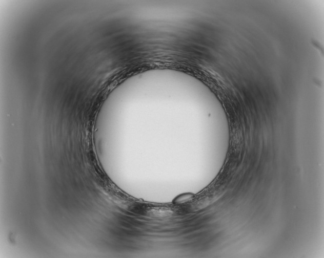 X0000094220749200710260953
