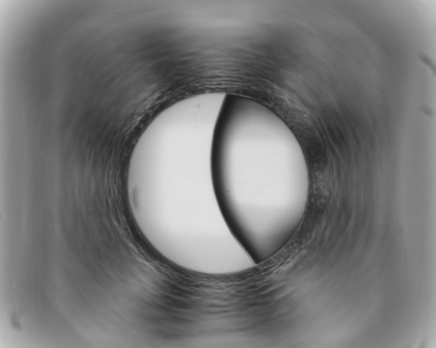 X0000094220751200710260953