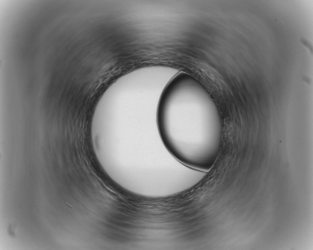 X0000094220752200710260953