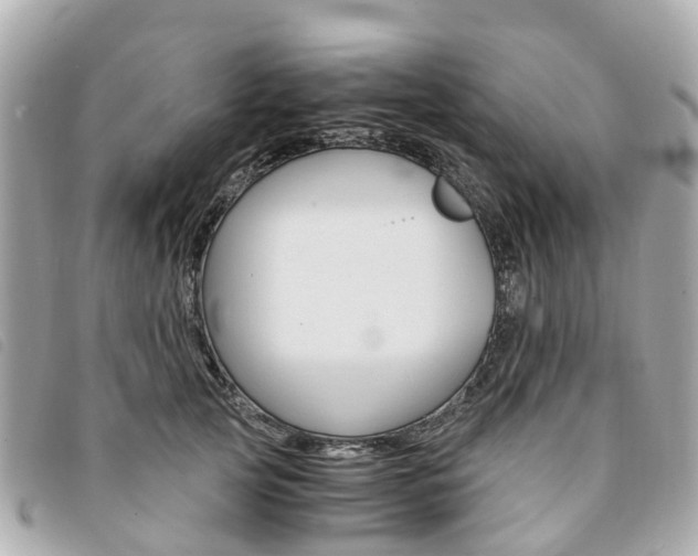 X0000094220753200710260953