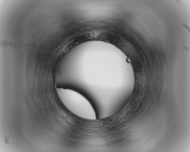 X0000094220754200710260953
