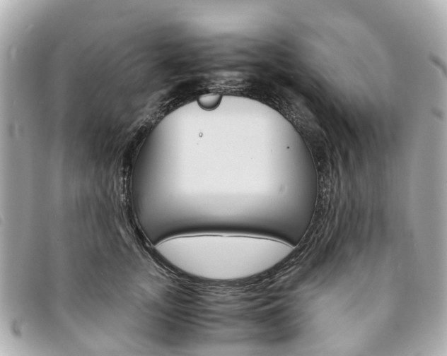 X0000094220755200710260953