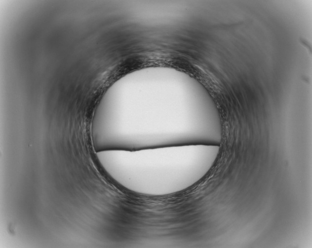 X0000094220757200710260953
