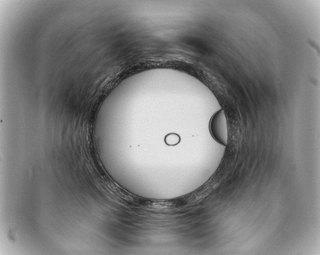 X0000094220758200710260953