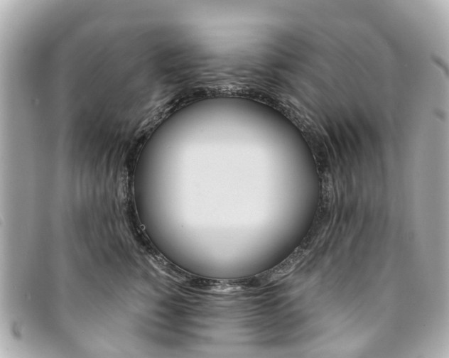 X0000094220760200710260953