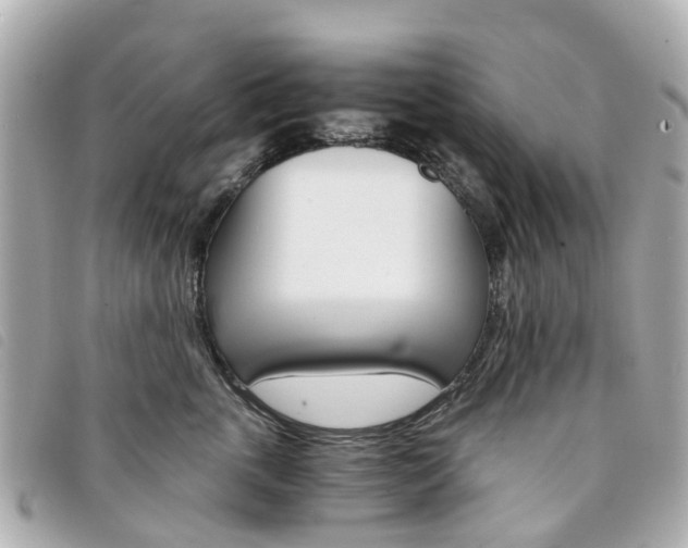 X0000094220763200710260953