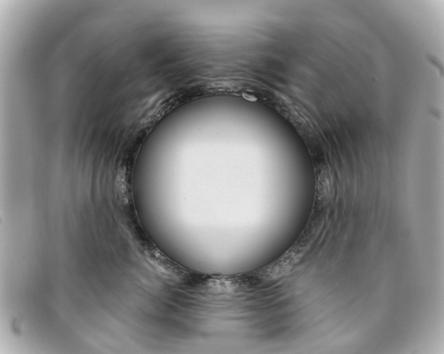 X0000094220764200710260953