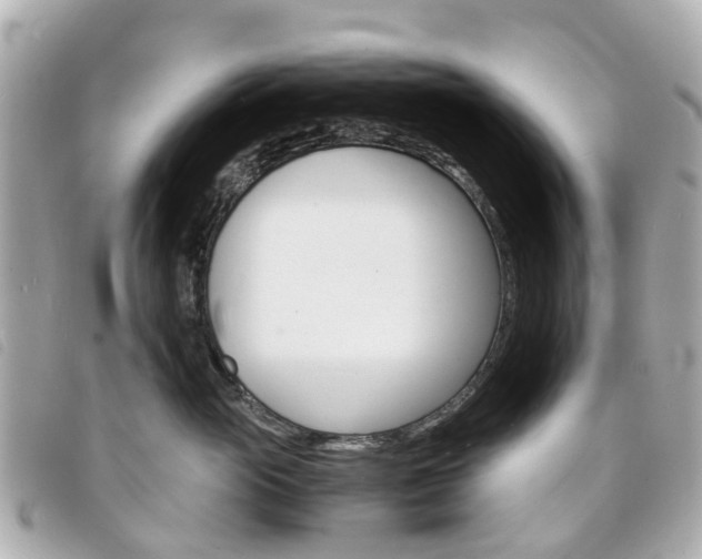 X0000094220765200710260953