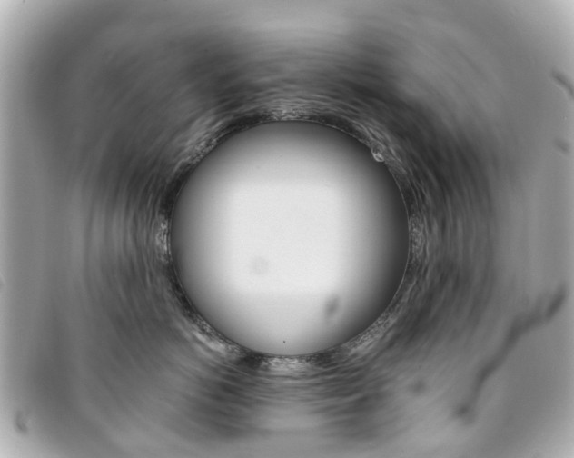 X0000094220766200710260953
