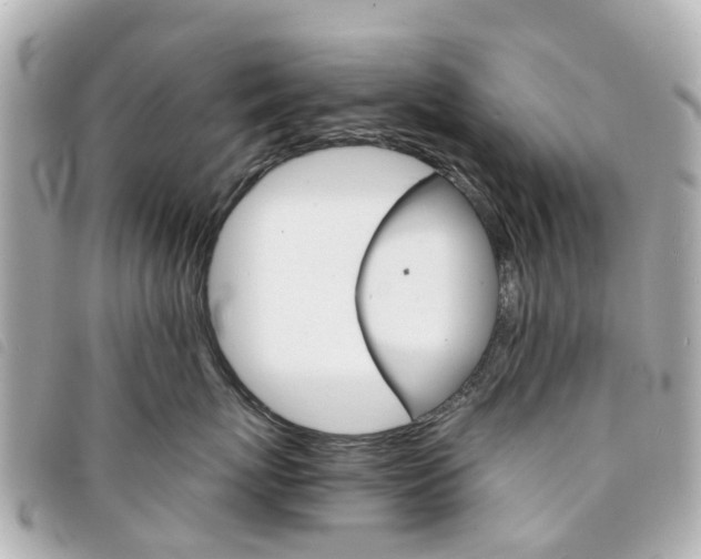 X0000094220767200710260953