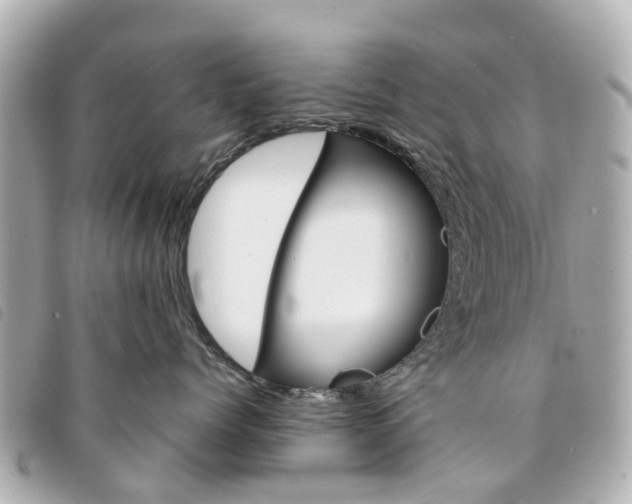 X0000094220768200710260953