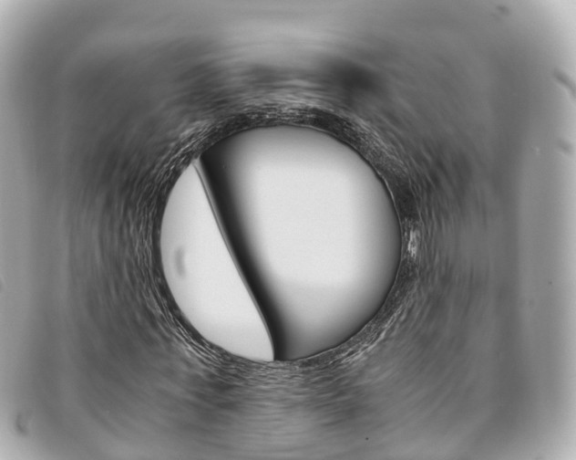 X0000094220771200710260953