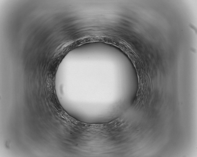 X0000094220773200710260953