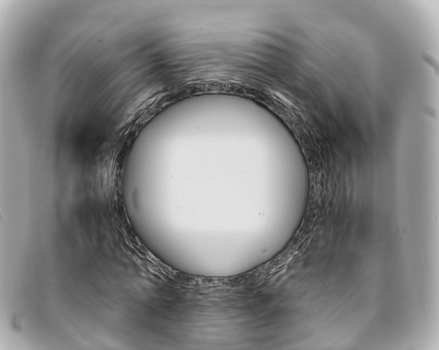 X0000094220774200710260953