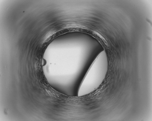 X0000094220775200710260953