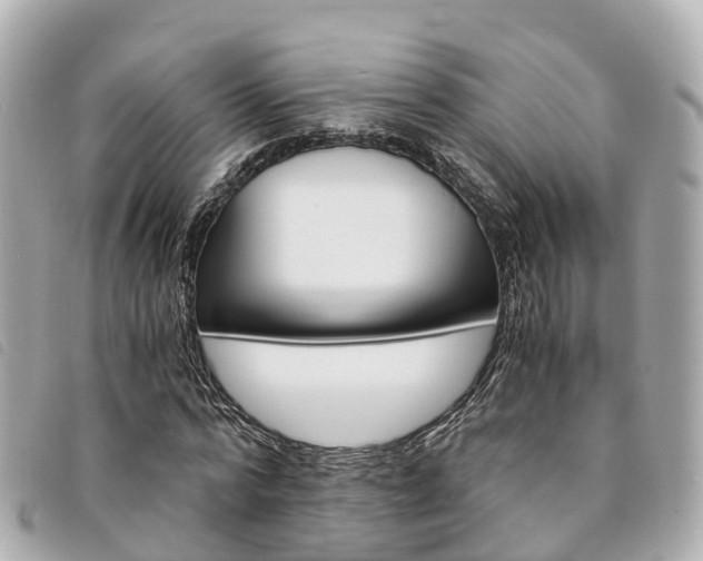 X0000094220776200710260953