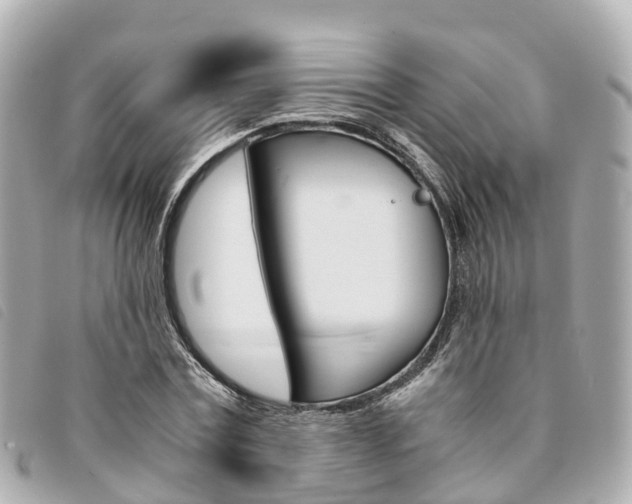 X0000094220779200710260953