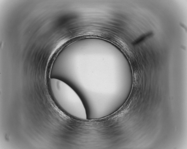 X0000094220780200710260953