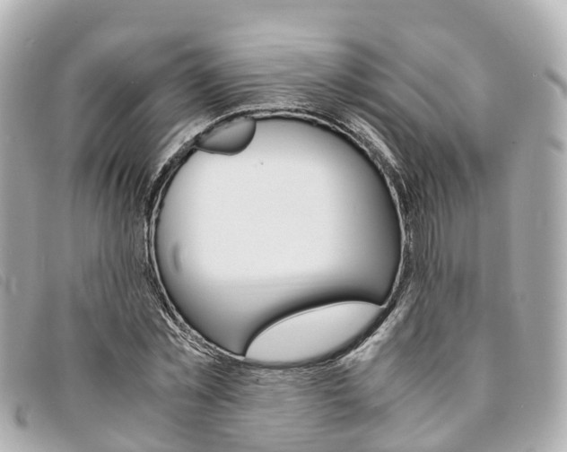 X0000094220781200710260953