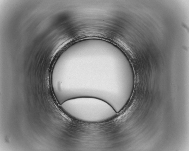 X0000094220782200710260953