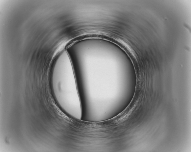 X0000094220783200710260953
