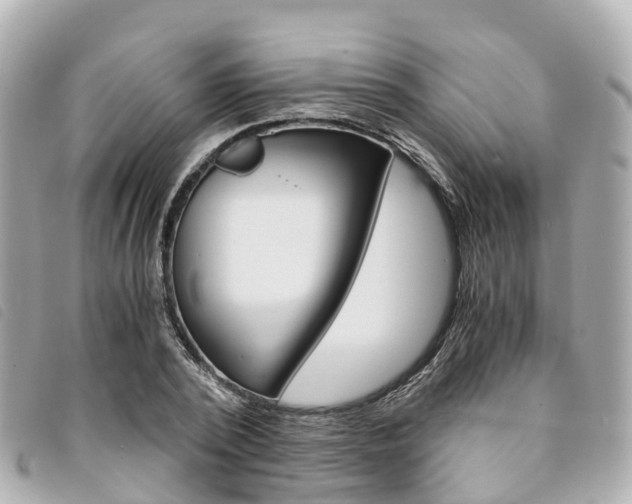 X0000094220784200710260952