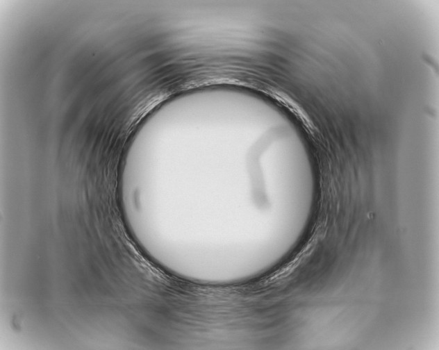 X0000094220785200710260952