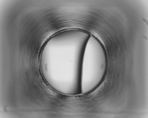 X0000094220789200710260952