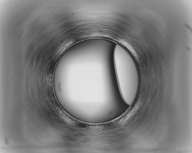 X0000094220793200710260952