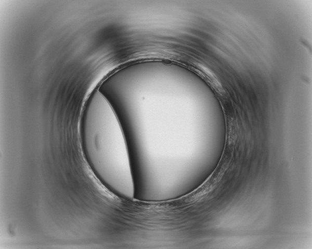 X0000094220796200710260952