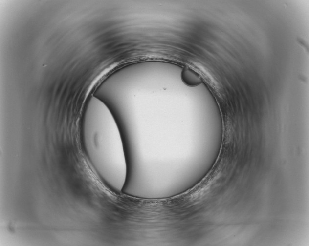 X0000094220798200710260952
