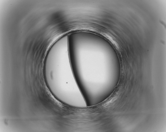 X0000094220799200710260952