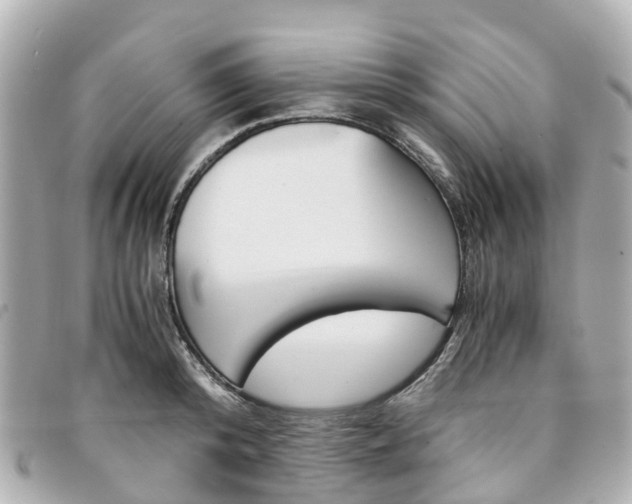 X0000094220800200710260952