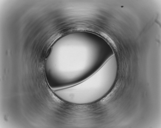 X0000094220801200710260952