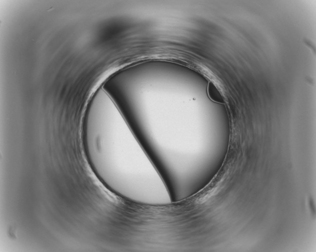 X0000094220803200710260952