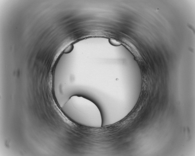 X0000094220804200710260952